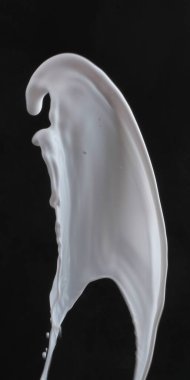 Siyah arkaplanda beyaz süt sıçraması