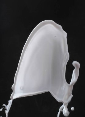 Süt sıçraması siyah arkaplanda izole edildi