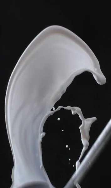 Брызги Молока Черный Фон — стоковое фото