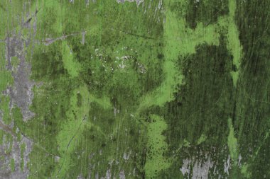 Eski yeşil beton duvar dokusu