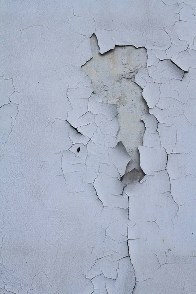 Eski gri beton duvardaki çatlamış beyaz boya dokusu.