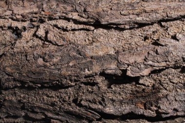 Eski duvar dokusu arkaplanı