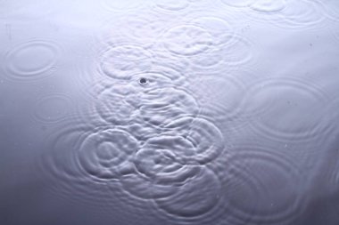 beyaz arkaplanda su damlaları