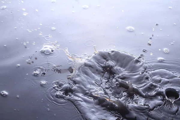 splash of water on white background