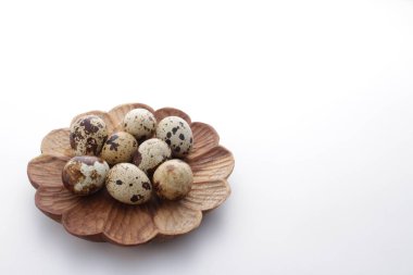 Beyaz arka planda bir yuvada bıldırcın yumurtası. Paskalya yumurtaları.