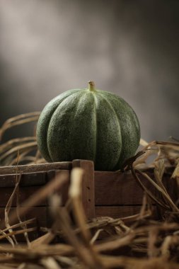 Ahşap masada yeşil balkabakları