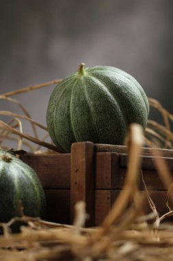 Ahşap arka plan üzerinde olgunlaşmış kabaklar