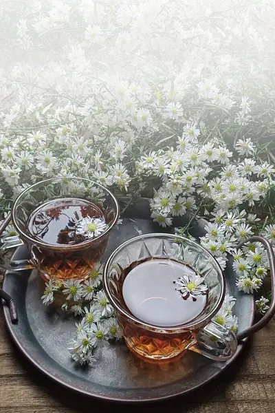 Teetasse Auf Dem Tisch — Stockfoto