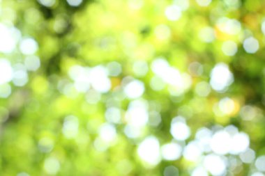 Fotoğraf, görüntü sensörü vasıtasıyla ya da fotoğraf filmi gibi ışığa duyarlı bir materyal aracılığıyla elektronik olarak görüntü oluşturma sanatı, uygulaması ve uygulamasıdır..