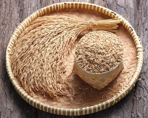 Yemek fotoğrafçılığı, yiyeceklerin çekici natürmort fotoğraflarını çekmek için kullanılan bir natürmort fotoğrafçılık türüdür. Ticari fotoğrafçılığın uzmanlaşması olarak.,