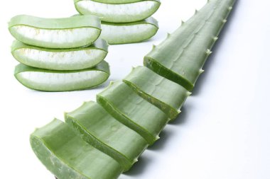 aloe vera yaprakları beyaz üzerine izole