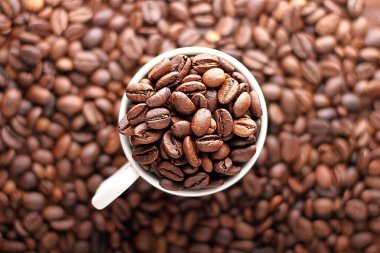 kahve çekirdekleri ahşap zemin