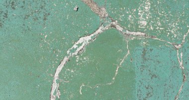 Yeşil ve beyaz çatlamış beton bir yüzey ve küçük bir kuş