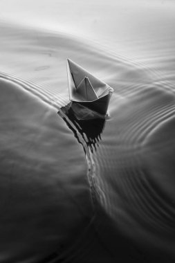 Yemek fotoğrafçılığı, yiyeceklerin çekici natürmort fotoğraflarını çekmek için kullanılan bir natürmort fotoğrafçılık türüdür. Ticari fotoğrafçılığın uzmanlaşması olarak., 