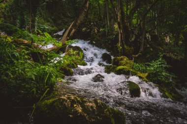 Dağlarda bir şelale vrelo Grze