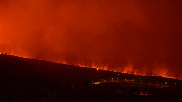 Palma Volkan Patlaması Lavı — Stok video