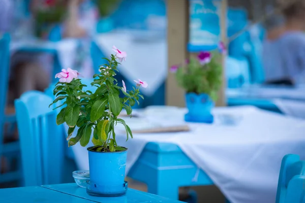 Yunan meyhaneleri, Chania, Beton, Yunan, Restoran