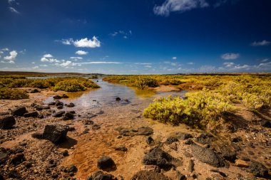 Lanzarote, volkanik ada, Atlantik okyanusu manzarası, İspanyol adaları, kanarya adaları manzarası, doğa arka planı.