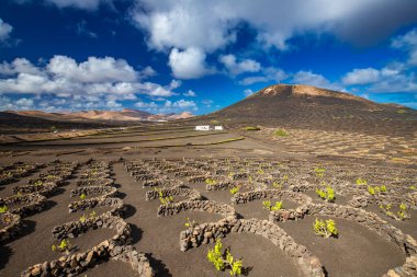 Lanzarote, volkanik ada, Atlantik okyanusu manzarası, İspanyol adaları, kanarya adaları manzarası, doğa arka planı.