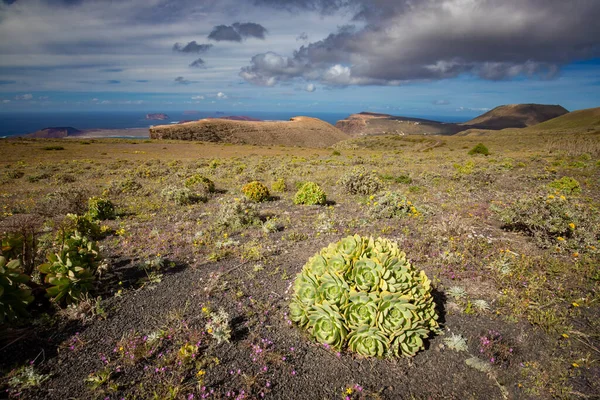 Lanzarote Volcanic Island Views Atlantic Ocean Spanish Islands Scenery Canary — Stock Photo, Image