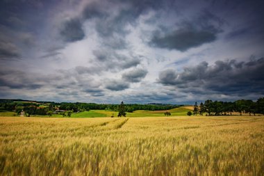 Yaz alan ve bulutlu gökyüzü 