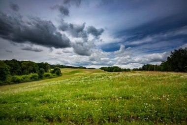Yeşil çimenlerle ve bulutlu gökyüzüyle güzel bir manzara.