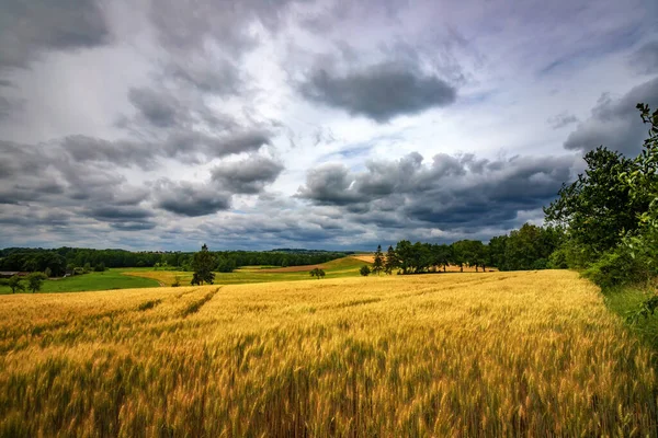 Summer Field Cloudy Sky — Stock Photo, Image