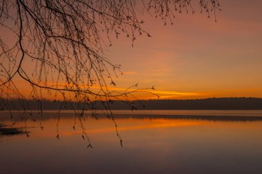 Kış gölü üzerinde şafak. Gün doğumu. Kış. Kış manzarası. Soğuk bir sabah. Donmuş göl. Göl kenarında kış St. Winter manzarası. Pastel gökyüzü. Doğa arkaplanı.