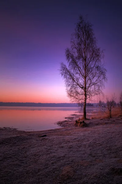 冬の湖の上で夜明け 日の出だ 冬の風景 霜降りの朝 凍った湖 湖で冬の聖冬の風景 パステルスカイ 自然背景 — ストック写真