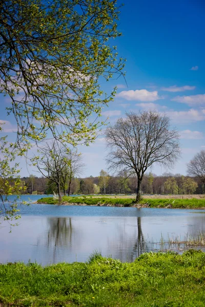 Vahşi sularda güneşli bir bahar havuzu, arkasında beyaz bulutlar olan mavi gökyüzü, Polonya