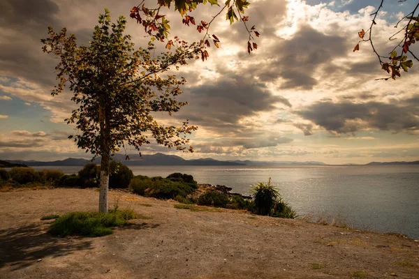 Yunan Adası Evia Kıyısı Güneşli Bir Günde Güzel Deniz Manzarası — Stok fotoğraf