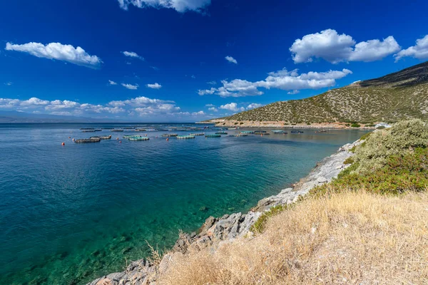 Wybrzeże Greckiej Wyspy Evia Piękne Widoki Morze Słoneczny Dzień Błękitne — Zdjęcie stockowe
