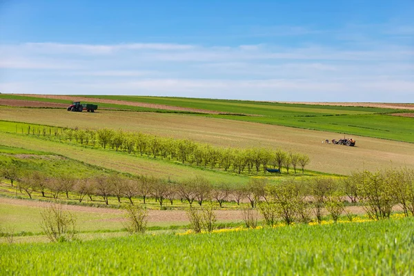 Grünbraune Frühlingsstreifen Landwirtschaftlicher Nutzflächen Polen Frühjahrsarbeit Der Bauern Malerische Frühlingslandschaft — Stockfoto