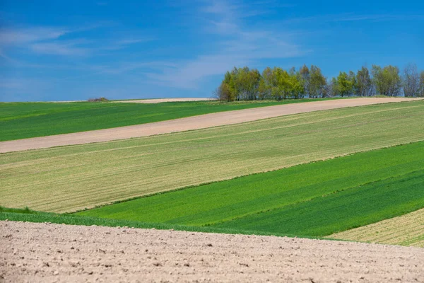 Зелено Коричневые Весенние Полосы Сельскохозяйственных Угодий Польша Весенняя Работа Фермеров — стоковое фото