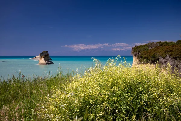 Piękna Plaża Tropikalna Korfu Grecja — Zdjęcie stockowe
