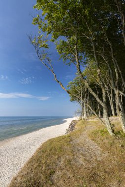 Baltık Denizi üzerindeki uçurum ve deniz ve kumlu sahil manzarası