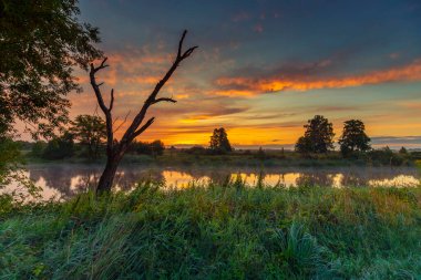 Polonya 'da vahşi bir nehrin üzerinde yaz gündoğumu. Arka planda doğa olan sabah manzaraları. Sıcak renkler ve yaz güneşinin ışığı