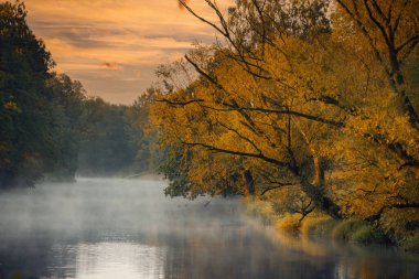Polonya 'da vahşi bir nehrin üzerinde yaz gündoğumu. Arka planda doğa olan sabah manzaraları. Sıcak renkler ve yaz güneşinin ışığı