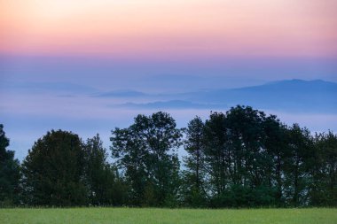 Yaz manzarası. Dağlarda sisli bir sabah. Polonya Beskid Dağları 'nın yaz manzarası. Polonya 'da yaz manzaraları. Doğa arkaplanı.