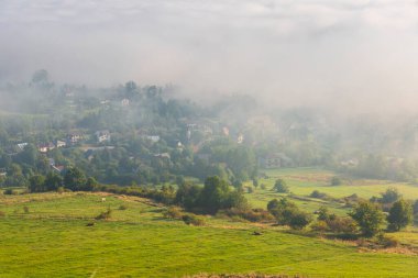 Yaz manzarası. Dağlarda sisli bir sabah. Polonya Beskid Dağları 'nın yaz manzarası. Polonya 'da yaz manzaraları. Doğa arkaplanı.