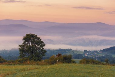 Yaz manzarası. Dağlarda sisli bir sabah. Polonya Beskid Dağları 'nın yaz manzarası. Polonya 'da yaz manzaraları. Doğa arkaplanı.