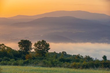 Yaz manzarası. Dağlarda sisli bir sabah. Polonya Beskid Dağları 'nın yaz manzarası. Polonya 'da yaz manzaraları. Doğa arkaplanı.