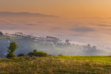 Yaz manzarası. Dağlarda sisli bir sabah. Polonya Beskid Dağları 'nın yaz manzarası. Polonya 'da yaz manzaraları. Doğa arkaplanı.