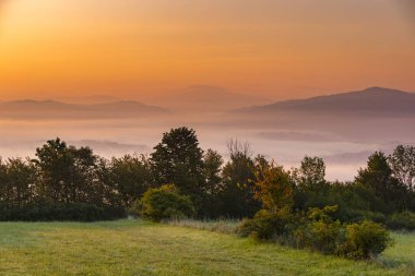 Yaz manzarası. Dağlarda sisli bir sabah. Polonya Beskid Dağları 'nın yaz manzarası. Polonya 'da yaz manzaraları. Doğa arkaplanı.