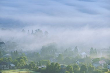 Yaz manzarası. Dağlarda sisli bir sabah. Polonya Beskid Dağları 'nın yaz manzarası. Polonya 'da yaz manzaraları. Doğa arkaplanı.