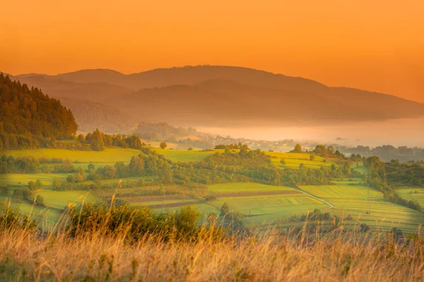 Letní Krajina Mlhavé Ráno Horách Letní Panorama Polských Beskyd Letní — Stock fotografie