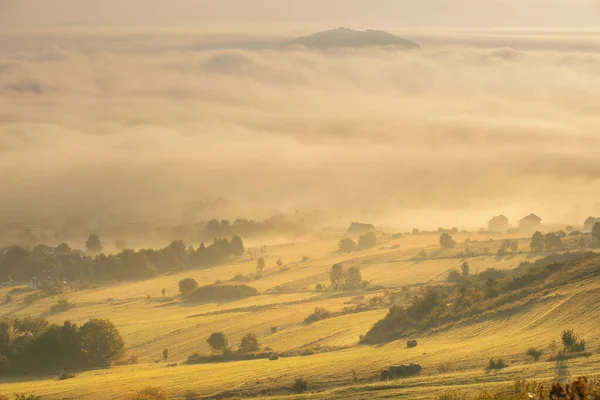 夏天的风景多雾的早晨 在山上 波兰别斯卡尔山脉的夏季全景 波兰的夏季风景 自然背景 — 图库照片