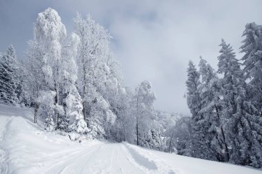 Alplerde kış, Avusturalya.