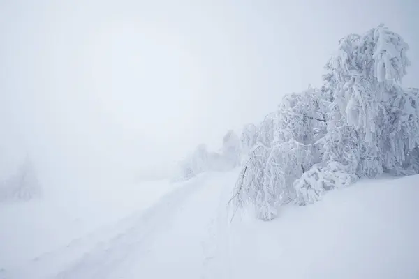Güzel Karlı Kış Manzarası — Stok fotoğraf