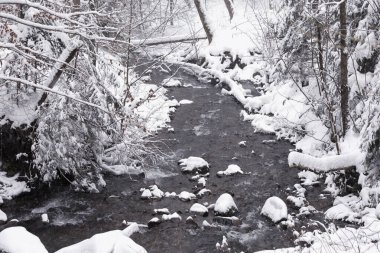 Polonya 'daki Beskid Dağları' nda çağlayan ve şelaleli kış nehri